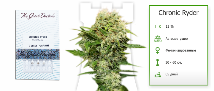 chronic_ryder от joint doctor