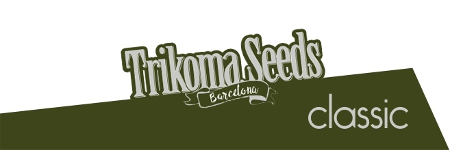 Классика от Trikoma Seeds