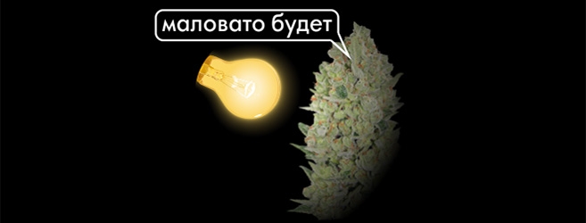 недостатки освещения конопли