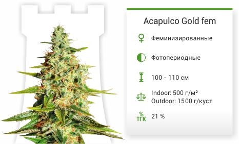 Acapulco Gold fem от Barney's Farm