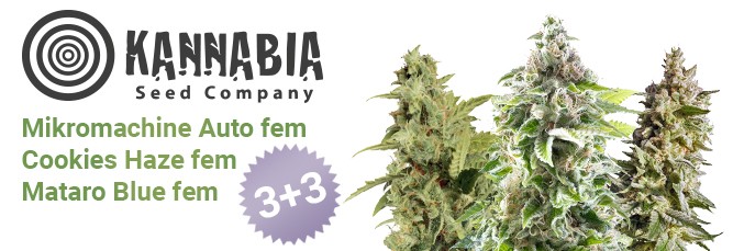 Акция на Семенарнии