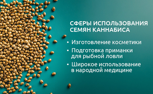 Использование семян конопли в разных сферах