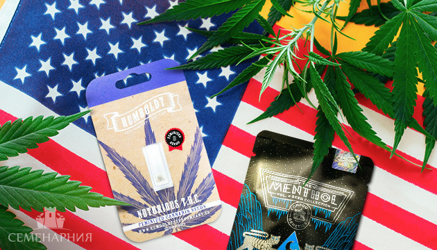 Американские сорта конопли
