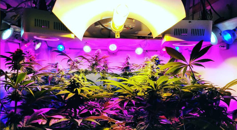 Освещение в гроубоксе