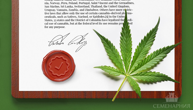 Легализация конопли в России и других странах