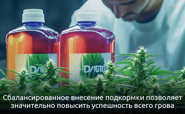 Подкормка для конопли