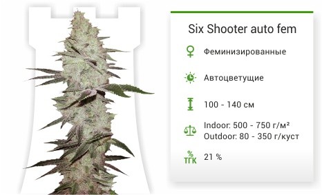 Six Shooter auto fem
