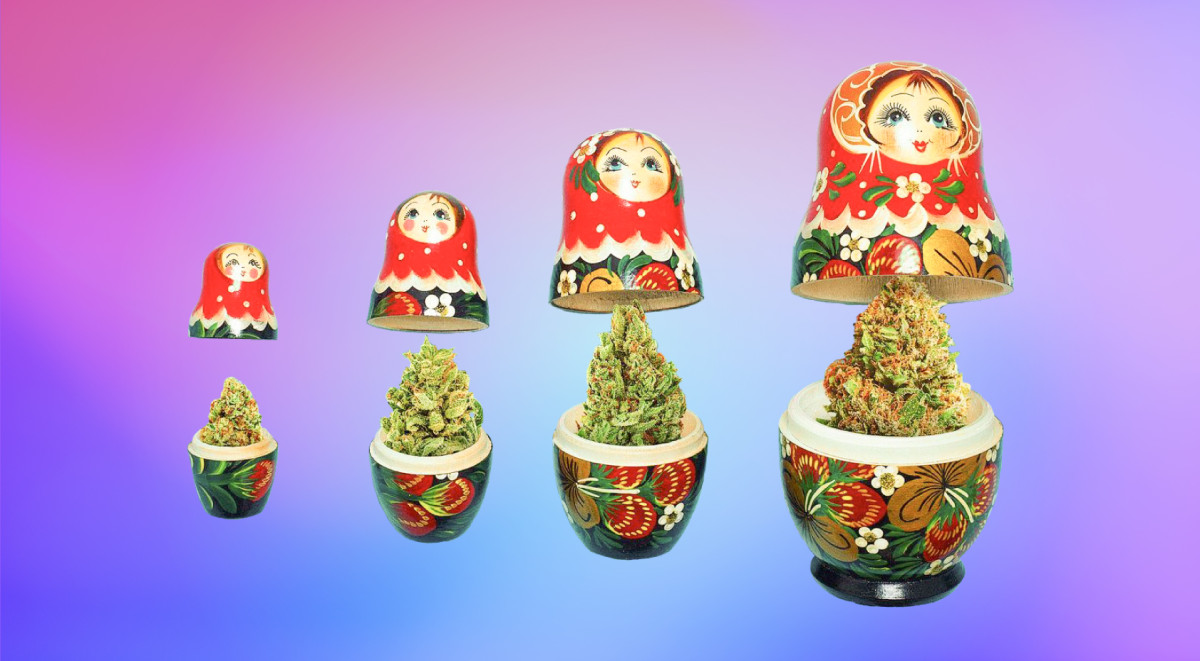 Марихуана в России