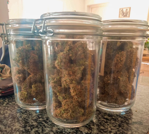 Впечатления от грова и урожая