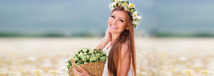 Урожайные сорта от Eva Seeds