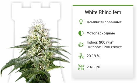 White Rhino fem (Green House Seeds)