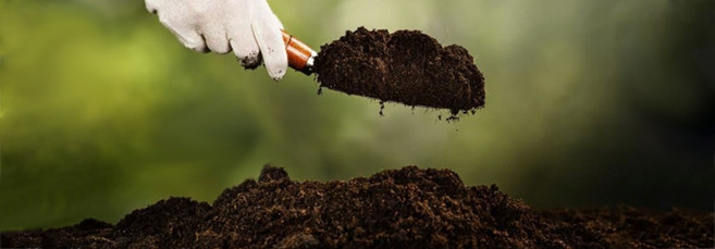 Почва для выращивания марихуаны в открытом грунте