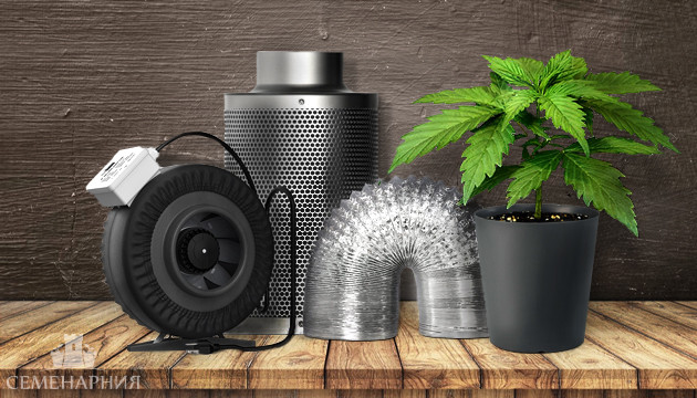 Правильная вентиляция в гроуруме