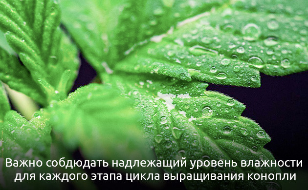 Шпаргалка гроверу по влажности