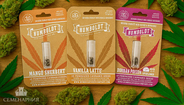 Автоцветущие сорта от Humboldt Seed Company