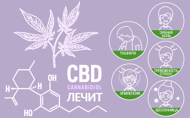 Что лечит КБД