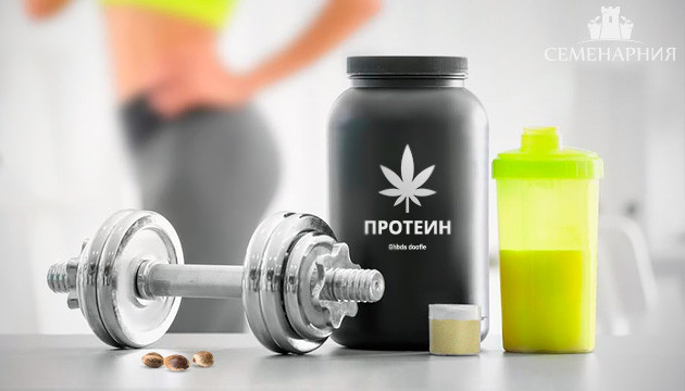 Конопляный протеин