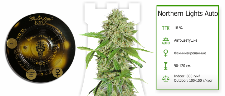 northern_lights_automatic_ghs