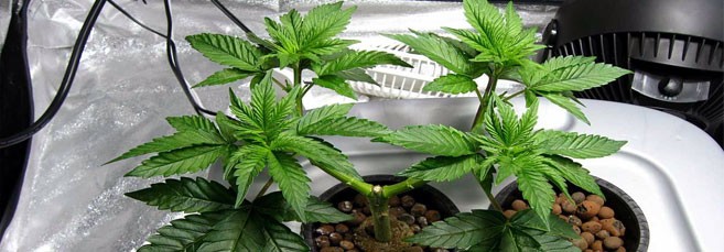 Применение метода суперкроппинг