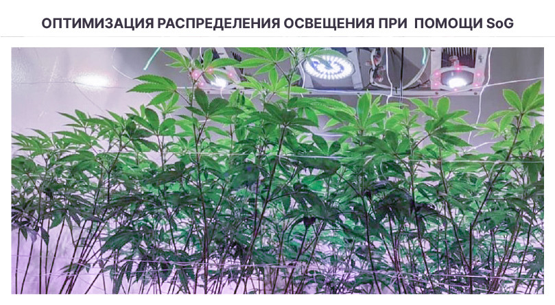 Техника повышения урожайности SOG