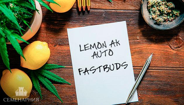 Выращивание сорта марихуаны Lemon AK Auto от FastBuds