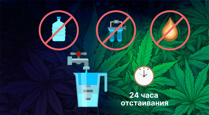 Отстаивать воду 24 часа