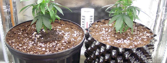 приспособления для выращивания конопли