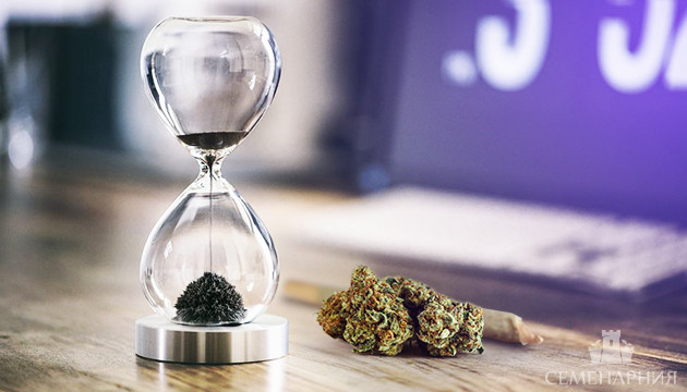 Использование каннабиса долгое время