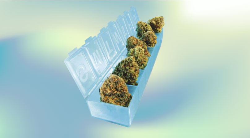 Медицинская конопля: лечение, облегчение и воздействие на психику