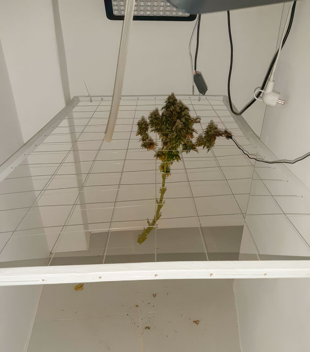 Харвест и общие впечатления