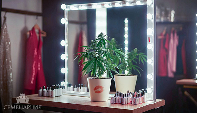 Женский каннабис