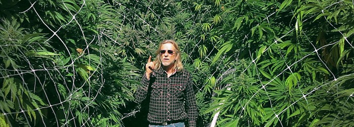 Основные техники выращивания