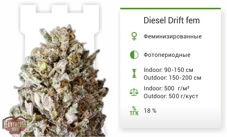 При заказе на 4000 рублей семечко в подарок