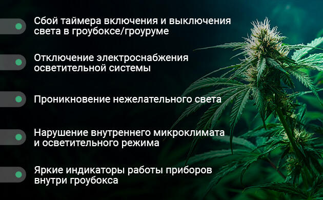 Причины самопроизвольной ревегетации