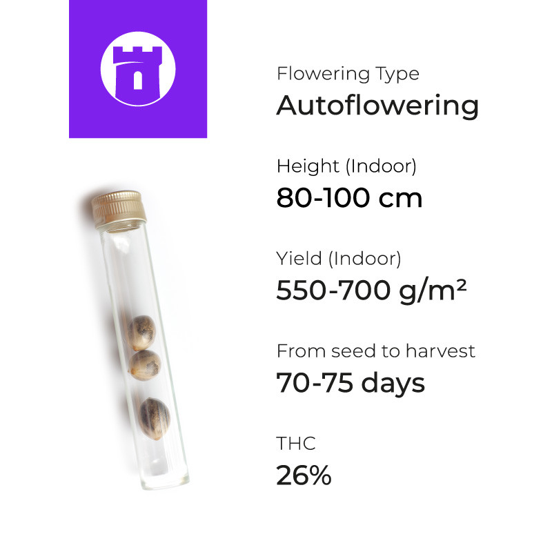 Gorilla Auto мощность и урожайность