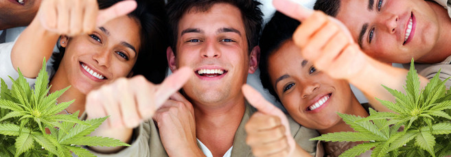 Сатива и ее особенности