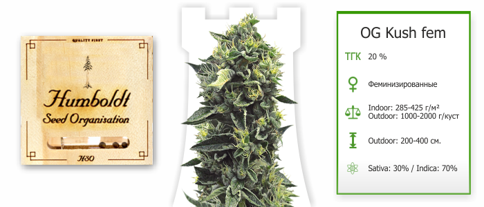 OG Kush