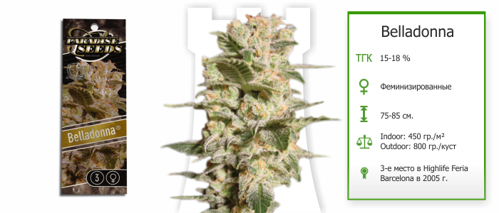 Сорт Belladonna