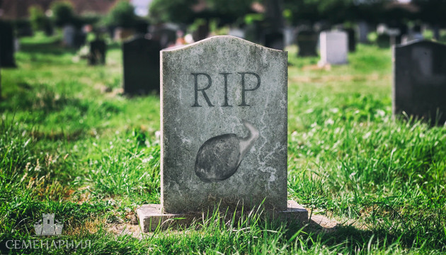 Семечко марихуаны умерло