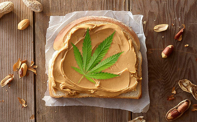 Добавление канна-продуктов в готовую арахисовую пасту