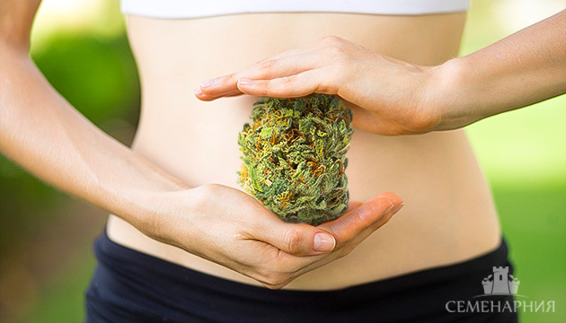 Как вывести марихуану из организма