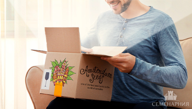 Новые семена от нового сидбанка – Amsterdam Seeds