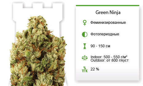 Green Ninja от Heavyweight Seeds