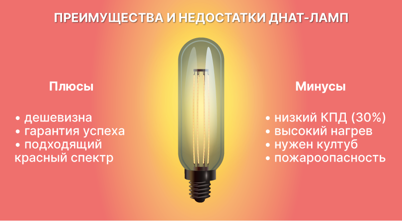 Плюсы и минусы ДНаТ ламп