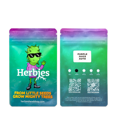 Сорт Purple Juice Auto fem (Herbies Seeds)