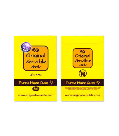 Сорт Purple Haze Auto fem (Original Sensible Seeds)
