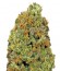 Сорт Wipeout Express Auto fem